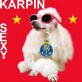 Karpin_Sexy
