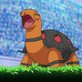 Torkoal Pokemon