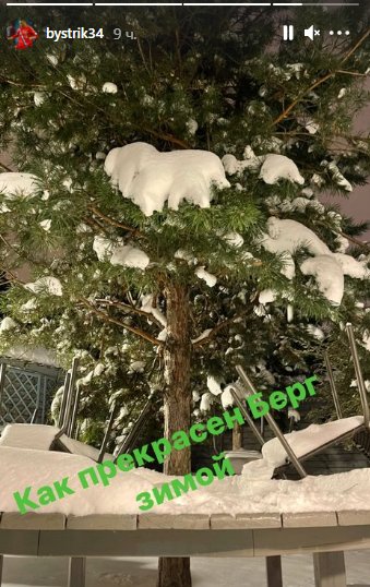 «Как прекрасен Берг зимой». Быстров опубликовал фото дерева