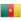 Логотип Камерун