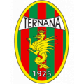 Лого Тернана