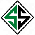 Логотип футбольный клуб Сакарьяспор (Адапазары)