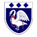 Логотип футбольный клуб Бернхэм