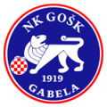 Логотип футбольный клуб ГОШК Габела