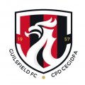 Логотип футбольный клуб Гилсфилд
