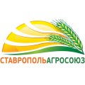 Логотип футбольный клуб СтавропольАгроСоюз (Ивановское)