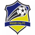 Лого Нгози Сити