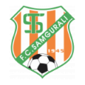 Логотип футбольный клуб Самгурали (Цхалтубо)