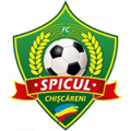 Логотип футбольный клуб Спикул (Кишкэрень)