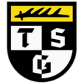 Логотип футбольный клуб Балинген