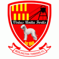 Логотип футбольный клуб Бедлингтон Террьерс