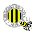 Логотип футбольный клуб Бронсхой