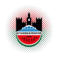 Логотип футбольный клуб Диярбакырспор
