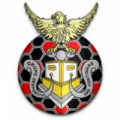 Логотип футбольный клуб Фонтиньяш