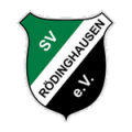 Логотип футбольный клуб Редингхаузен