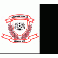 Логотип футбольный клуб Рингвуд Таун