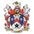 Логотип футбольный клуб Стейбридж Селтик