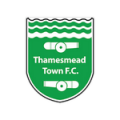 Логотип футбольный клуб Тэмсмид Таун (Дартфорд)